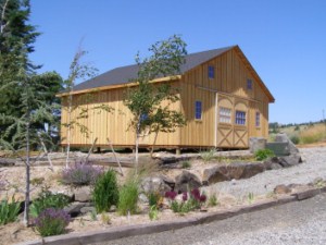 single level barn. Barns without lofts have high celings and lots of space. 